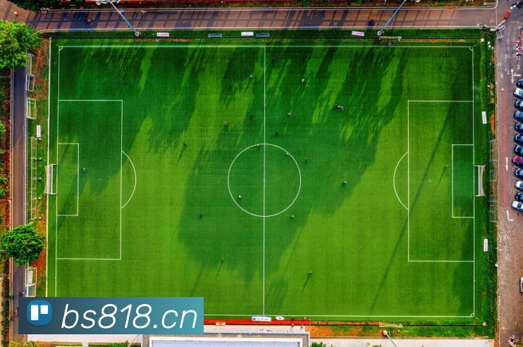 星空体育综合app下载官网APP 封面图